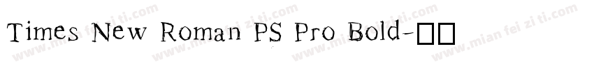 Times New Roman PS Pro Bold字体转换